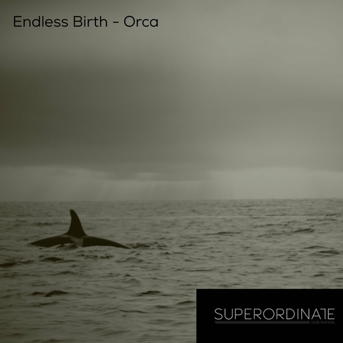 Endless Birth - Orca [SUPDUB478]